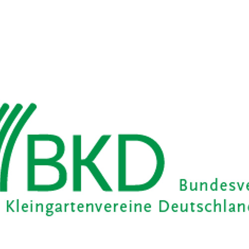 BKD informiert 06/2024